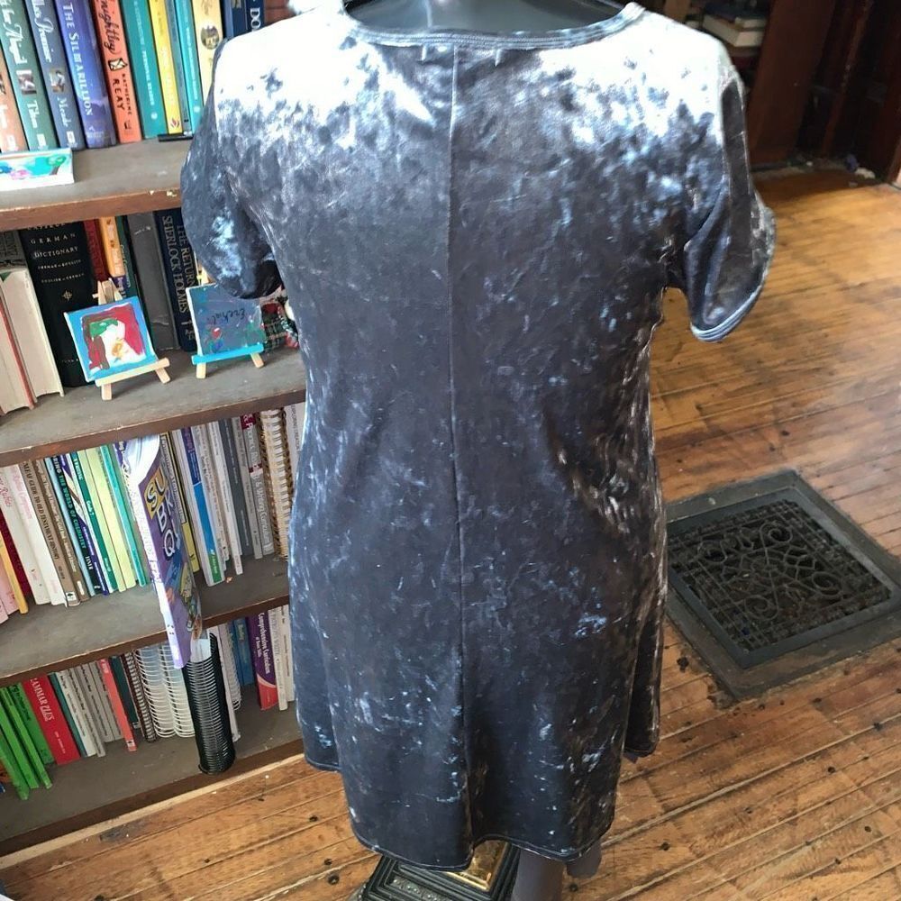 Z Supply silvery gray L flowy velvet a-line party mini dress - Picture 2 of 3